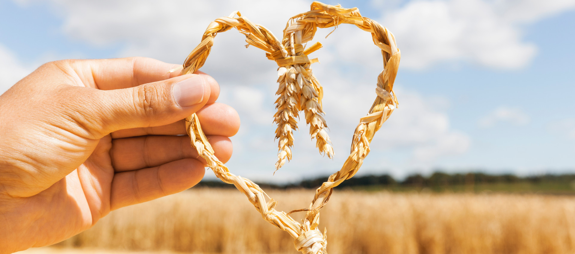Erntedank in der Ortenau: Wie traditionelle Werte und moderne Bautechnik harmonieren
