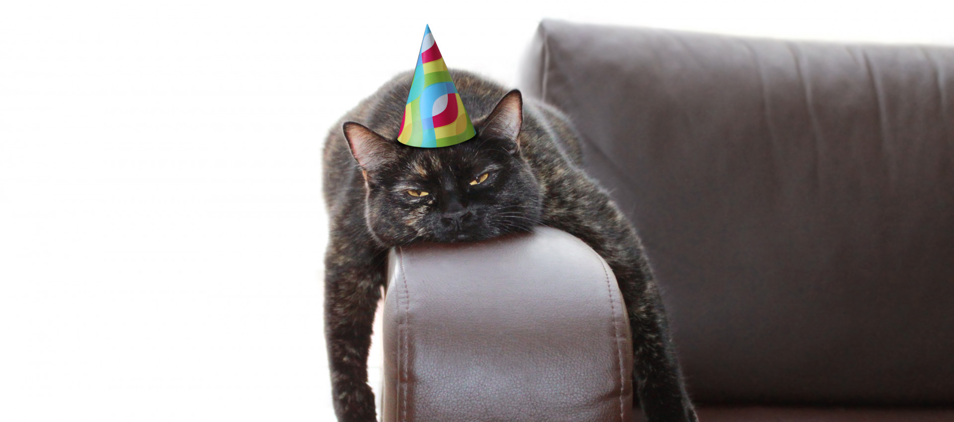 Silvester am Rhein: Mit effizienter Heiztechnik warm ins neue Jahr